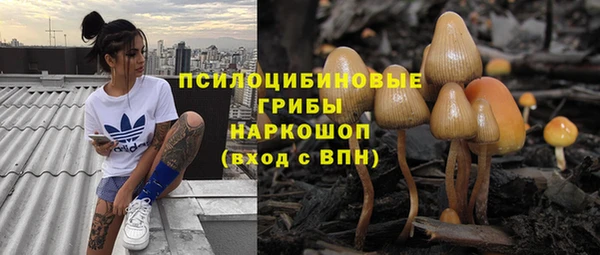 не бодяженный Вяземский