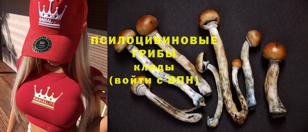 не бодяженный Вяземский