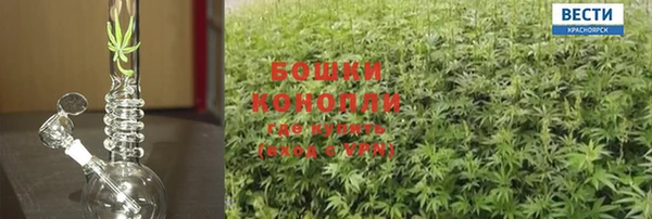 дистиллят марихуана Горняк